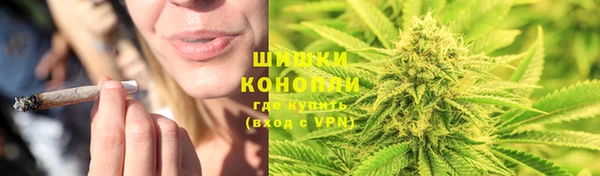 ПСИЛОЦИБИНОВЫЕ ГРИБЫ Навашино