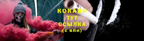 ПСИЛОЦИБИНОВЫЕ ГРИБЫ Навашино