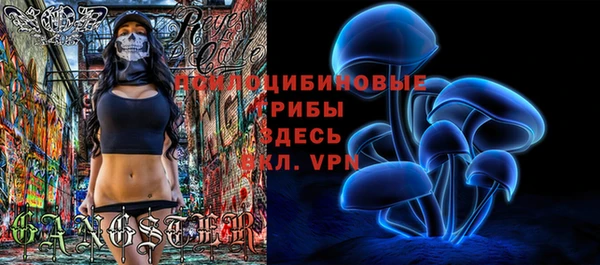 сатива Михайловск