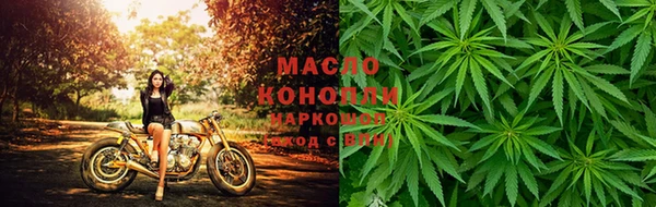 сатива Михайловск