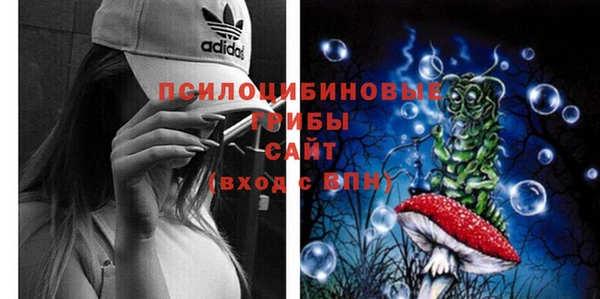 ECSTASY Надым