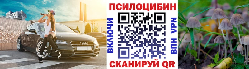 Псилоцибиновые грибы MAGIC MUSHROOMS  продажа наркотиков  Николаевск-на-Амуре 